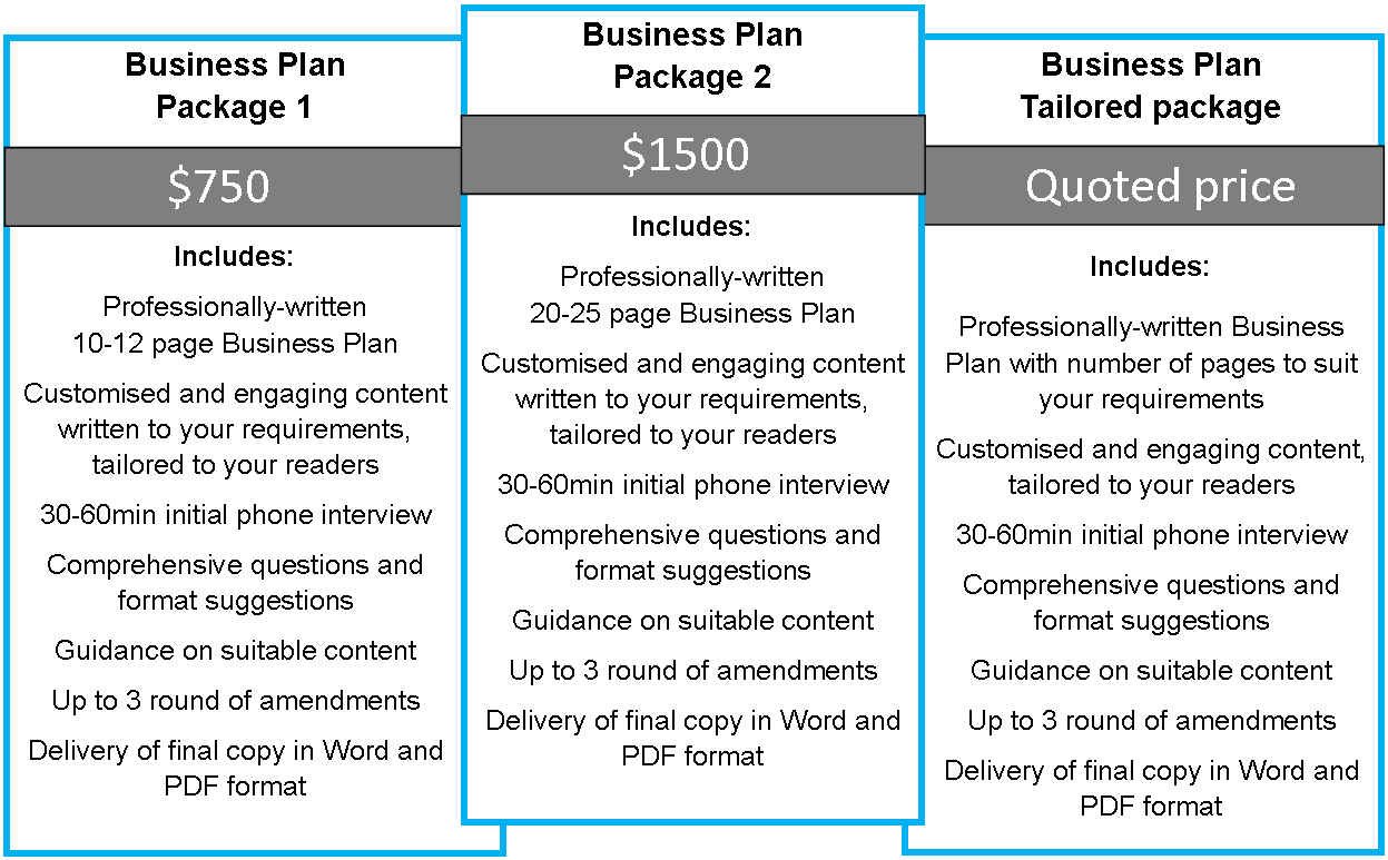 cost of a business plan writer